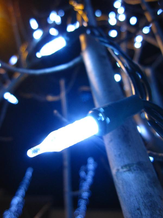 Illustration for article titled Photo Contest: Christmas Lights